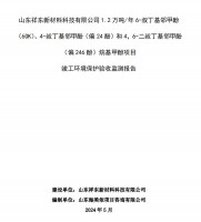 山東祥東新材料科技有限公司1.2萬噸/年6-叔丁基鄰甲(60K)、4-叔丁基鄰甲酚(偏 24 酚)和 4，6-二叔丁基鄰甲酚(偏 246 酚)烷基甲酚項目竣工環境保護驗收監測報告